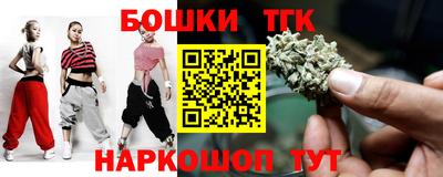 МДПВ Дубна