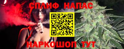 МДПВ Дубна