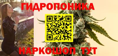 МДПВ Дубна