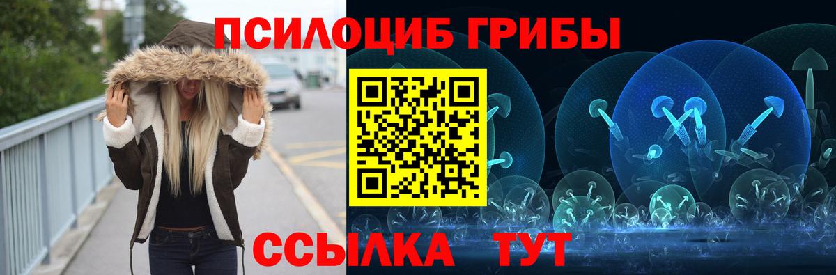 Псилоцибиновые грибы мицелий  Псилоцибиновые грибы мицелий  где найти   Минеральные Воды  Вход с VPN 