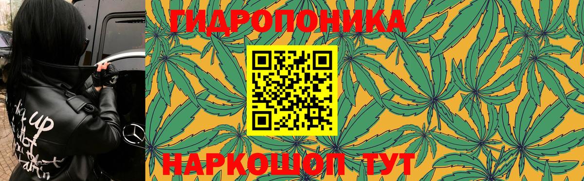 Каннабис White Widow Минеральные Воды